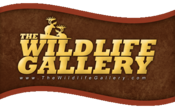 Wildlife Gallery Logo
